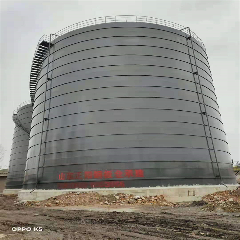 阳西3万吨大型钢板库